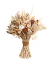 Beautiful dried flower bouquet isolated on white Royalty Free Stock Photo