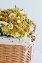 Beautiful dried flowers Royalty Free Stock Photo