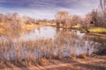 Beautiful dry foliage on small damn by the Orange River at sunrise, South Africa Royalty Free Stock Photo