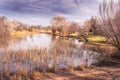 Beautiful dry foliage on small damn by the Orange River at sunrise, South Africa Royalty Free Stock Photo