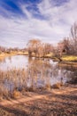 Beautiful dry foliage on small damn by the Orange River at sunrise, South Africa Royalty Free Stock Photo