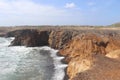 Desert Landscapes of Savane des PÃÂ©trifications Martinique French West Indies