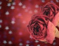 beautiful dry red rose on blur maple leaves bokeh background Royalty Free Stock Photo