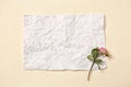 Beautiful dry rose with sheet of paper on white background Royalty Free Stock Photo