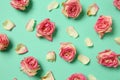 Beautiful dry roses on color background Royalty Free Stock Photo