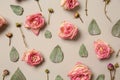 Beautiful dry roses on light background Royalty Free Stock Photo