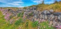 A beautiful dry stone wall in Cornwall, UK, along the Southwest coastal path.