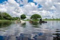 Beautiful ducks swimming freely Royalty Free Stock Photo