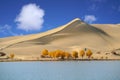 Yellow dune white cloud blue sky in autumn by Lake Royalty Free Stock Photo