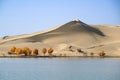 Yellow dune blue sky in autumn by Lake in Taklamakan Desert Royalty Free Stock Photo