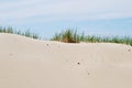 Beautiful dunes background with green grass