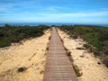 Wild dunes near Aljezur in Portugal at the coast Vicentina, where the fishermens trail starts