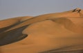The beautiful dunes of the Namib Desert