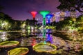 Beautiful dusk at Garden by the Bay