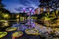 Beautiful dusk at Garden by the Bay