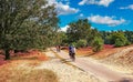 Beautiful dutch heath and sand dunes landscape, green oak forest, bike path with cyclists - Loonse en Drunense Duinen, Netherlands