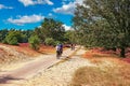 Beautiful dutch heath and sand dunes landscape, green oak forest, bike path with cyclists - Loonse en Drunense Duinen, Netherlands