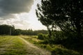 Beautiful Dutch landscape, Royalty Free Stock Photo