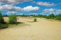 Beautiful dutch landscape, drifting sand dunes plateau, green forest trees, blue summer sky fluffy clouds - Maasduinen NP, Royalty Free Stock Photo