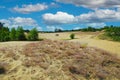 Beautiful dutch landscape, drifting sand dunes plateau, green forest trees, blue summer sky fluffy clouds - Maasduinen NP,