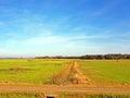 Beautiful dutch landscape in the Netherlands Royalty Free Stock Photo