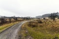 Beautiful Dutch landscape Royalty Free Stock Photo