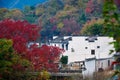 The beautiful dwellings and fall forests