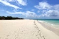 Beautiful Eagle beach of Aruba, Caribbean Royalty Free Stock Photo