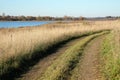 Beautiful early autumn rustic landscape with ground road runs through the field to forest under clear blue sky Royalty Free Stock Photo