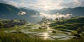 Beautiful early foggy morning mountain valley landscape with Thai village surrounded by rice fields Agriculture industry, food Royalty Free Stock Photo