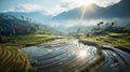 Beautiful early foggy morning mountain valley landscape with Thai village surrounded by rice fields Agriculture industry, food Royalty Free Stock Photo