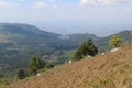 Zomba mountain slope with golden grass