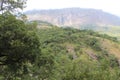 Zomba mountain slope with green grass