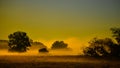 Beautiful Early morning Fog in Florida Royalty Free Stock Photo