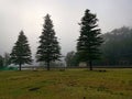 Beautiful early morning view of a creek with reflections of blue sky, foggy mountains and trees on water Royalty Free Stock Photo