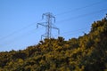 Beautiful early morning view of power lines with electricity transmission pylon and flowering yellow gorse captured before sunrise Royalty Free Stock Photo