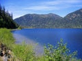 Cameron Lake in Macmillan Provincial Park near Parksville, Vancouver Island, British Columbia, Canada Royalty Free Stock Photo