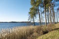 Beautiful early spring in Lithuania, beautiful Trakai city nature place,  galve lake, forest, historic building. Trakai is best pl Royalty Free Stock Photo