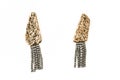 Beautiful earring isolate on white background