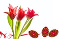 Beautiful easter background with three tulips with green leaves and red painted easter eggs on white isolated background Royalty Free Stock Photo