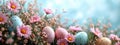 Beautiful Easter banner with delightful Easter eggs in pink and blue tones and tender spring flowers with copy-space Royalty Free Stock Photo