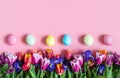 Beautiful Easter border with spring flowers and eggs on a pink background. Easter floral background. Copy space, top view, flat Royalty Free Stock Photo