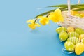 Beautiful Easter card with colorful eggs and  yellow daffodils on paper blue background Royalty Free Stock Photo