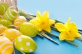 Beautiful Easter card with colorful eggs and  yellow daffodils on paper blue background Royalty Free Stock Photo