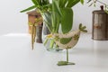 Beautiful Easter decoration - hen, faucet with Easter eggs and nice flowers. Photo on white background