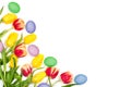 Beautiful Easter floral mockup. Red and yellow tulips and painted eggs on white background. Space for your text. Royalty Free Stock Photo