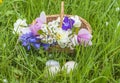 Beautiful easter greeting card with wicker basket, spring flower