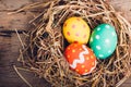 Beautiful Easter multi color egg in straw on wooden Royalty Free Stock Photo