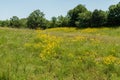 Beautiful eastern Oklahoma vista in springtime