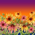 Beautiful echinacea flowers coneflower with green leaves on gradient background. Seamless floral pattern.